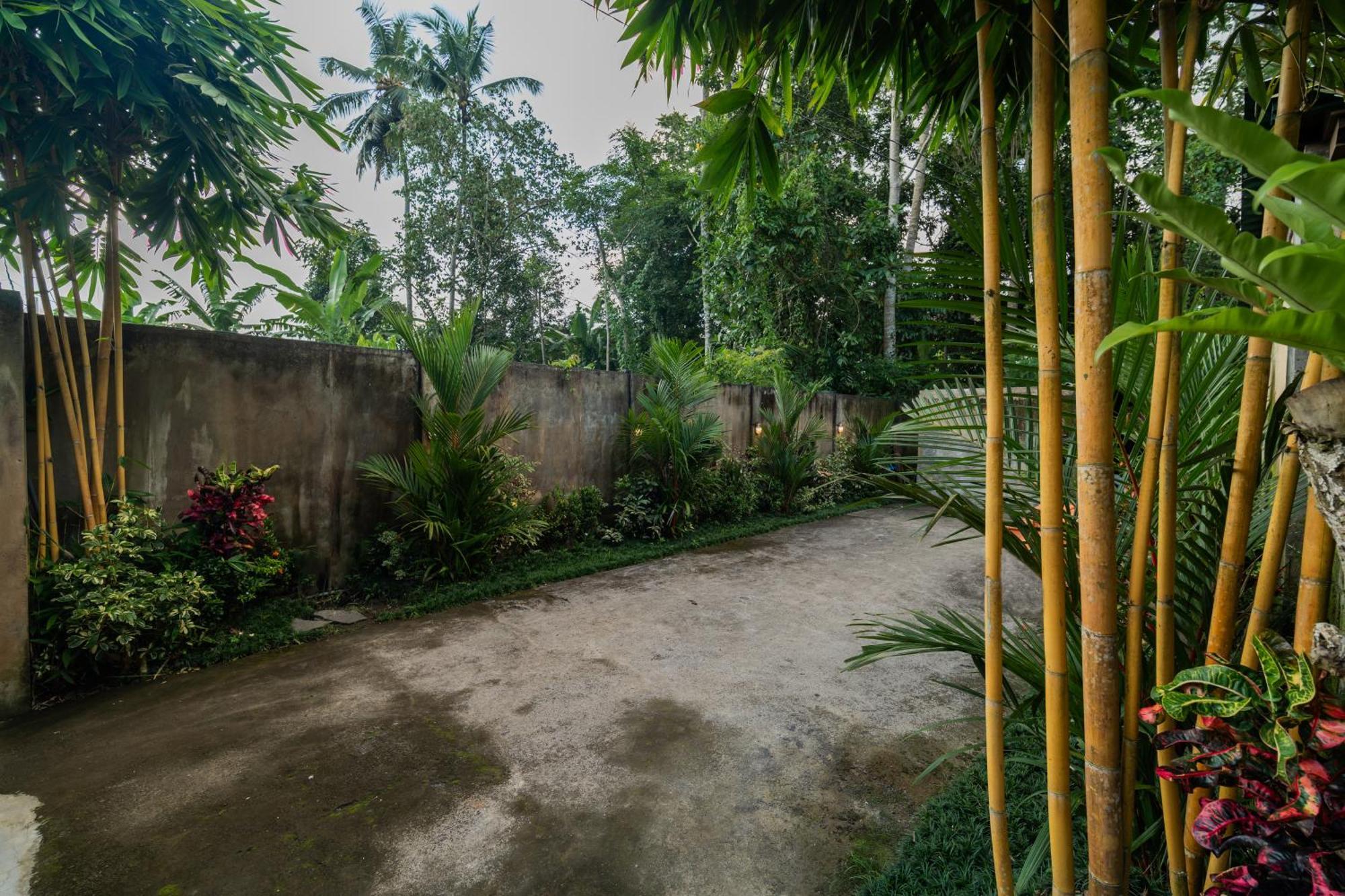 Jaya Villa Убуд Экстерьер фото