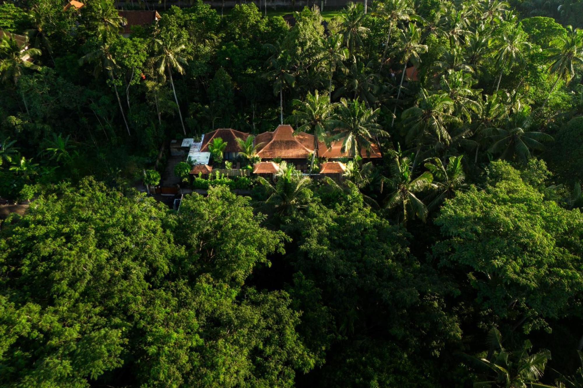 Jaya Villa Убуд Экстерьер фото